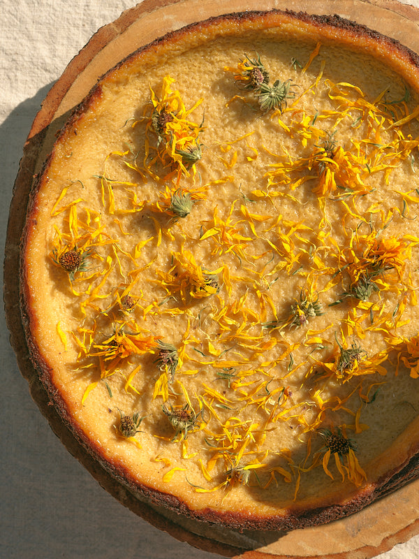 Mushroom Magic Cheesecake by Anna Patrikian