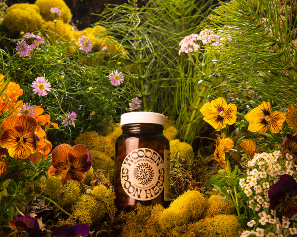 Introducing Mane & Nails