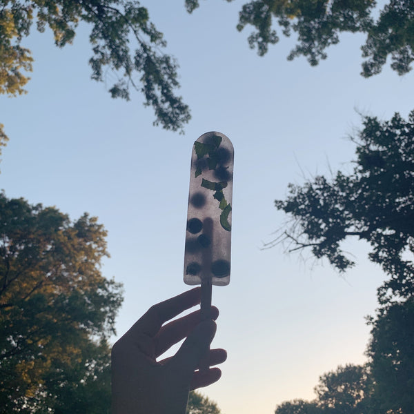 Berry Fresh Air - Elderberry Popsicles