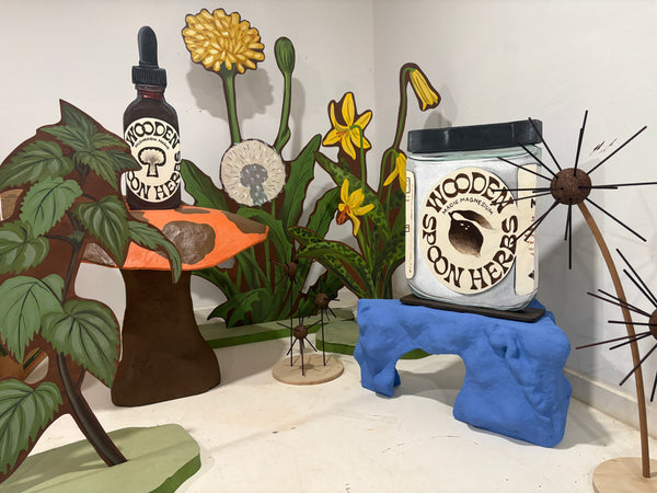 Bringing the Spooniverse to Life: A Collaboration with Alecia Vera