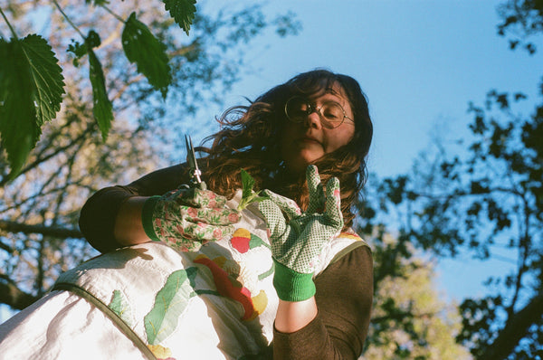 🌿 DIY Nettle Infusion