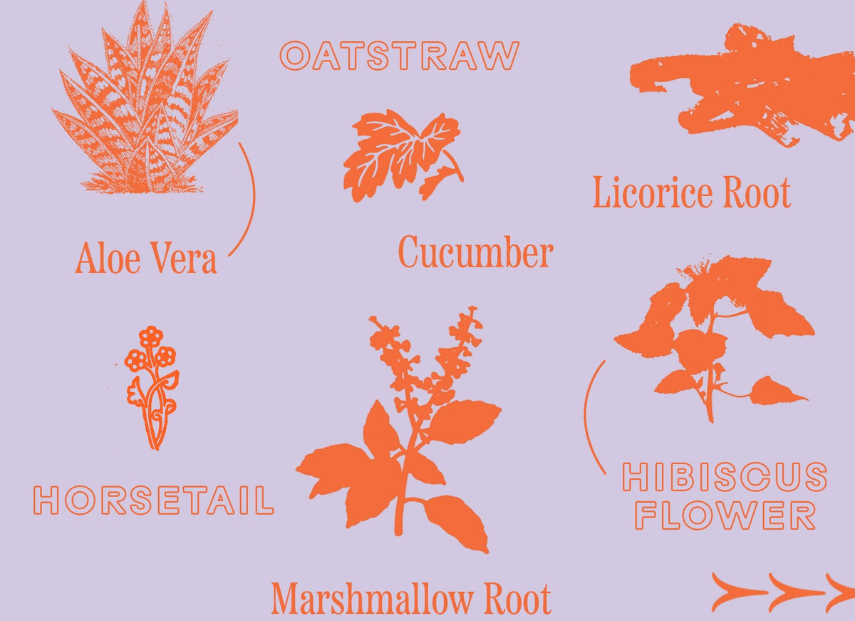 7 Juicy Herbs for Winter Hydration