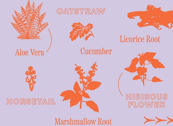 7 Juicy Herbs for Winter Hydration