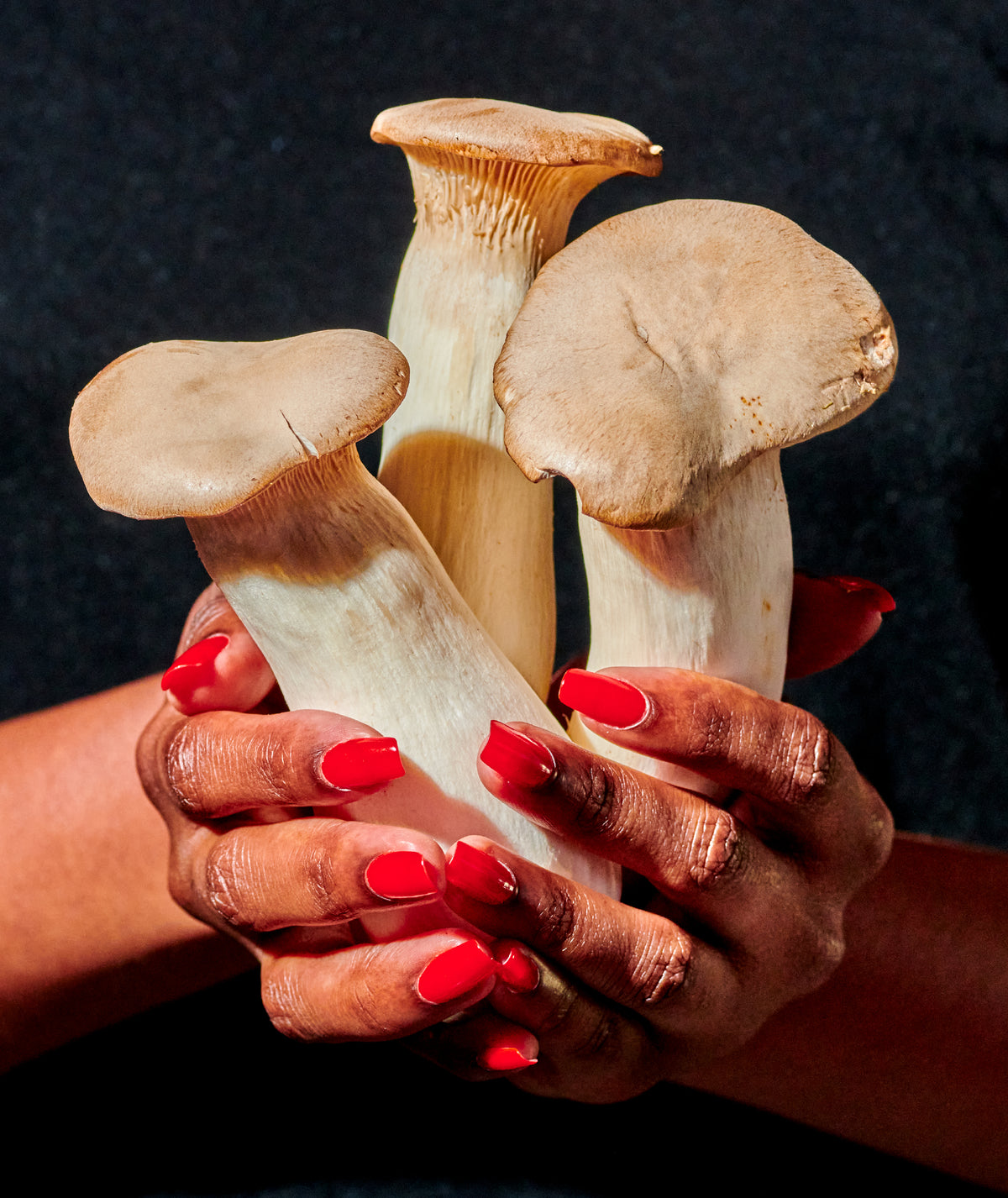 Discover the Magic of Mushrooms: Maitake, Shiitake, and Lion's Mane