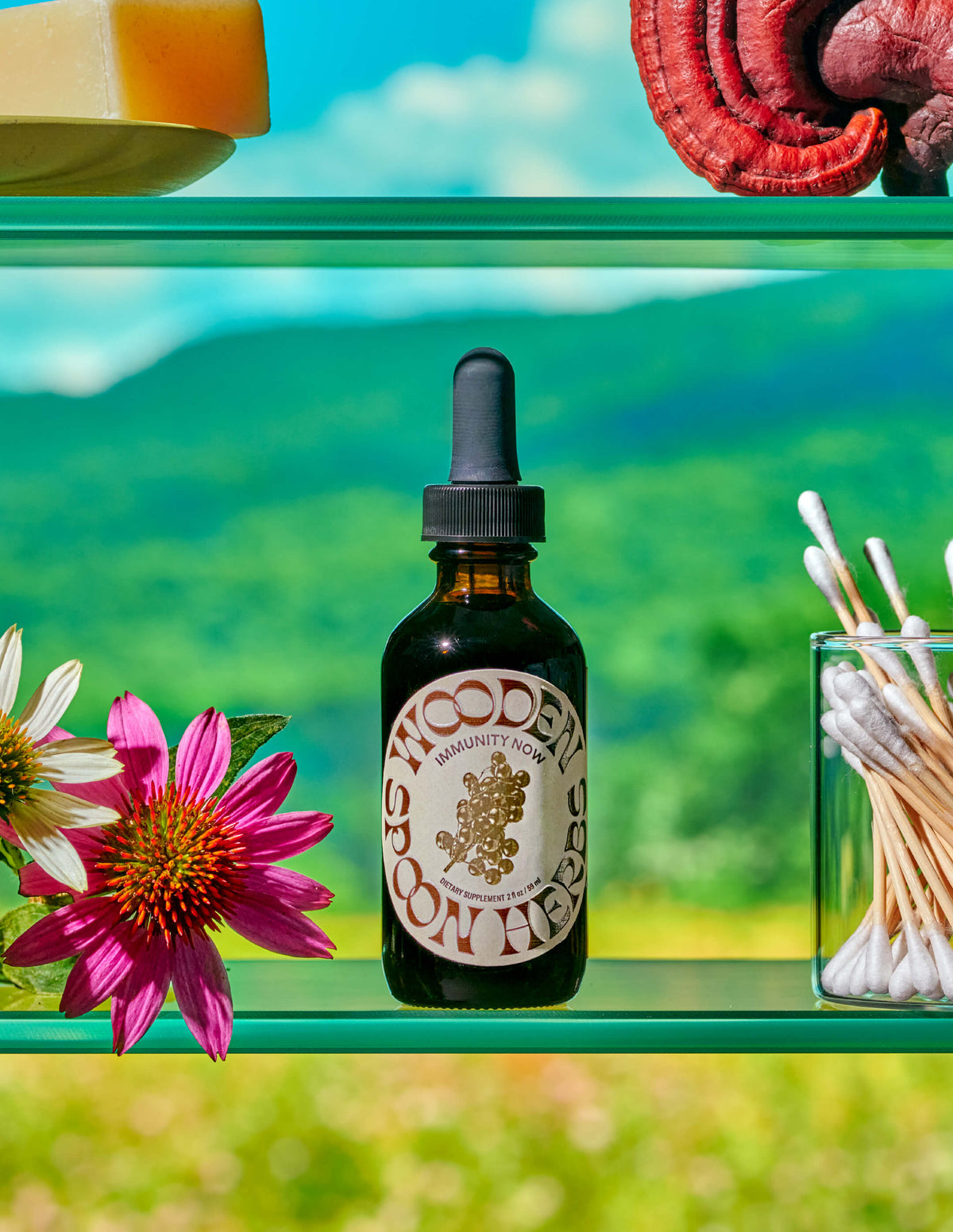 5 Foods to Boost the Immune System