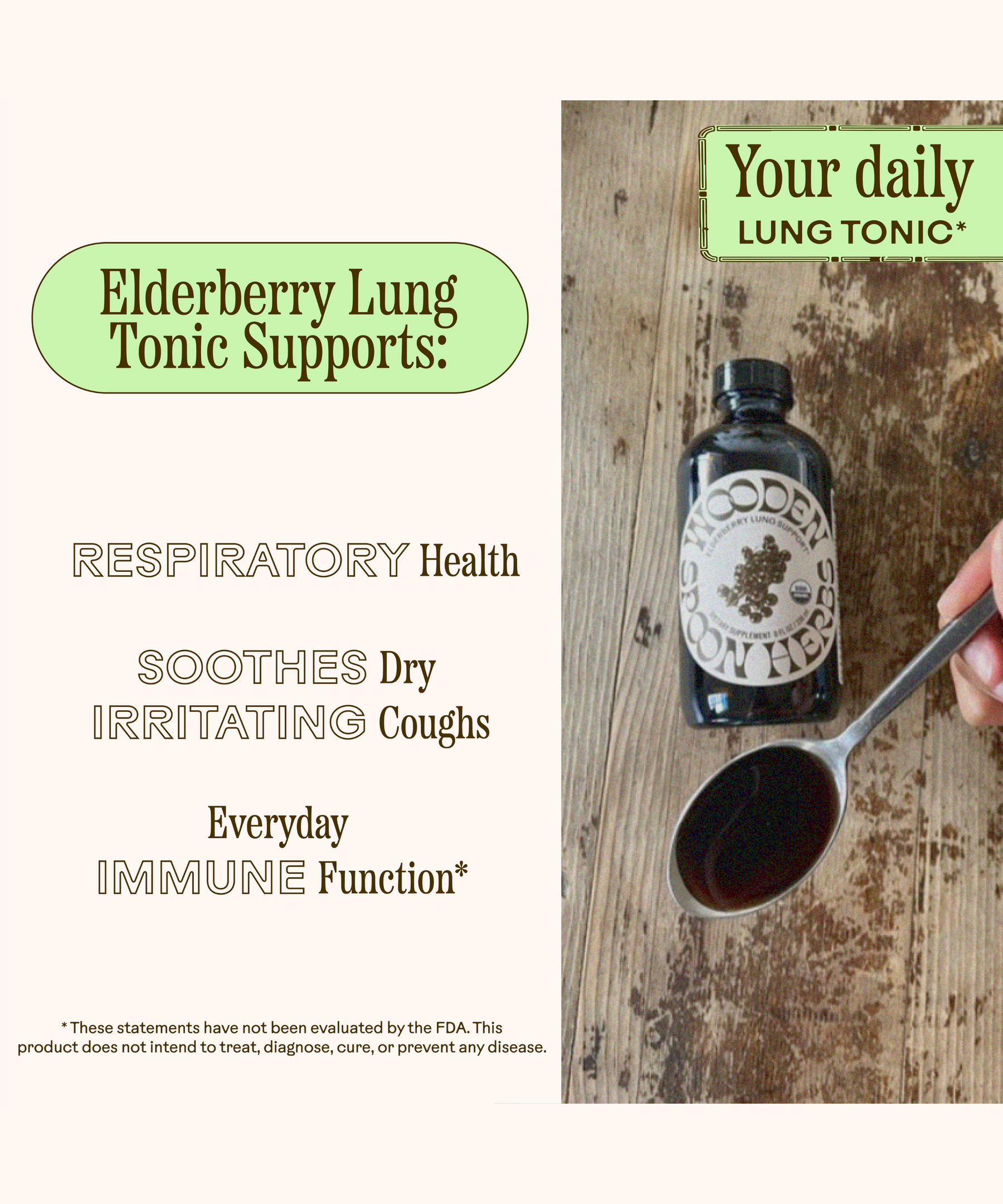 Elderberry Lung Support